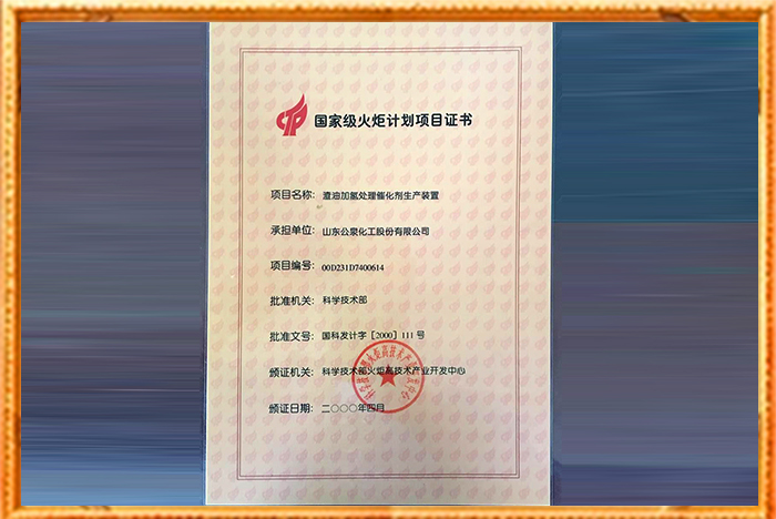 项目书